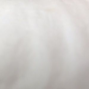 Meet your Posher, Madeline